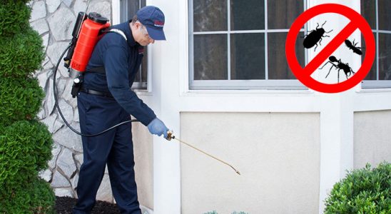 Bahçelerarası Kene İlaçlama böcek ilaçlama ve haşere kontrolü — ilaclama-tr.com